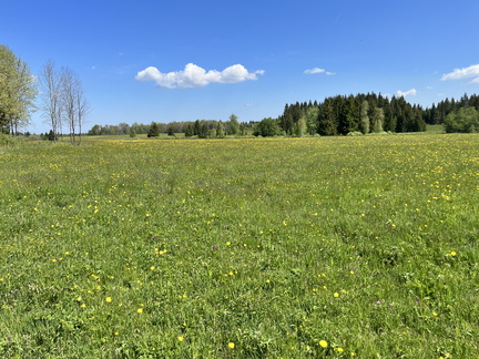 23-05-27 11-27-49 5725